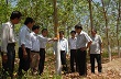 Tập đoàn CN Caosu VN đối thoại trực tiếp với tổ chức Global Witness